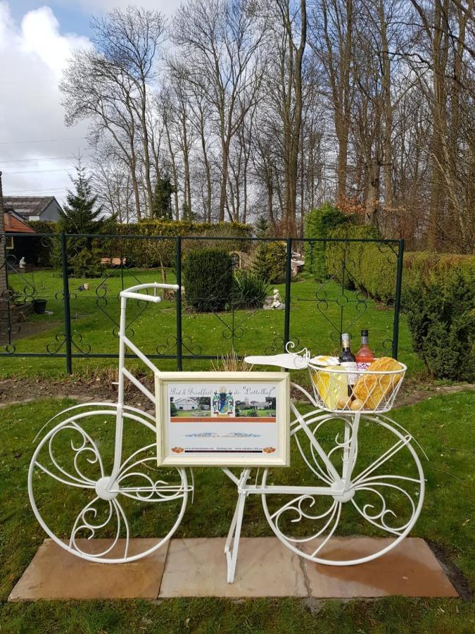 B&B Luttelhof, De Goedkoopste In De Regio ! Luttelgeest Exterior photo